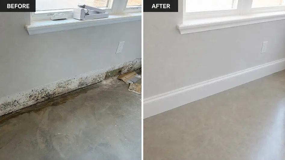 Before and after: mold wall repair